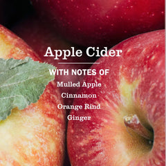 Apple Cider Kitchen Basics Set
