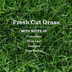 Fresh Cut Grass Dish Soap