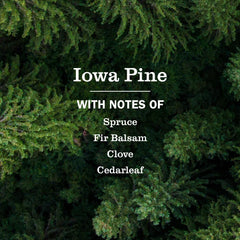 Iowa Pine Multi-Surface Everyday Cleaner 3-count Bundle