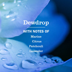 Dewdrop Liquid Hand Soap