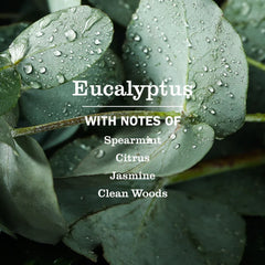 Eucalyptus Multi-Surface Everyday Cleaner