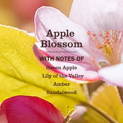 Apple Blossom Baking Soda Cream Cleaner