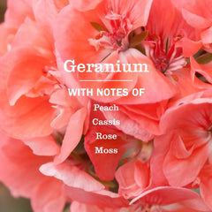 Geranium Liquid Hand Soap Refill