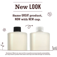 Honeysuckle Multi-Surface Concentrate