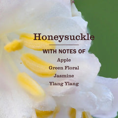 Honeysuckle Scent Booster
