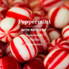 Peppermint Multi-Surface Everyday Cleaner 3-count Bundle