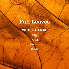 Fall Leaves Multi-Surface Everyday Cleaner