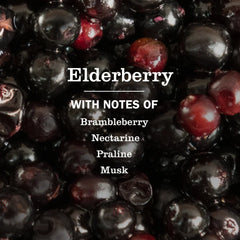 Elderberry Plug In Scented Oil Refill, 2-Pack