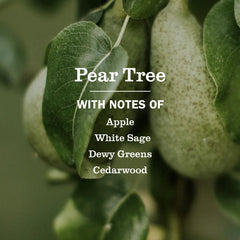 Pear Tree Dish Soap