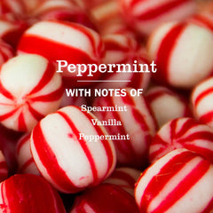 Peppermint Multi-Surface Everyday Cleaner