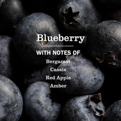 Blueberry Multi-Surface Everyday Cleaner
