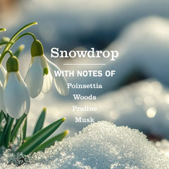 Snowdrop Dish Soap 3-count Bundle
