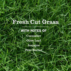 Fresh Cut Grass Liquid Hand Soap