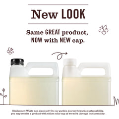 Basil Dish Soap Refill